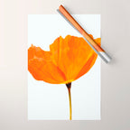 One And Only - Orange Poppy White Background #decor #society6 #buyart Wrapping Paper Gallery Image 1