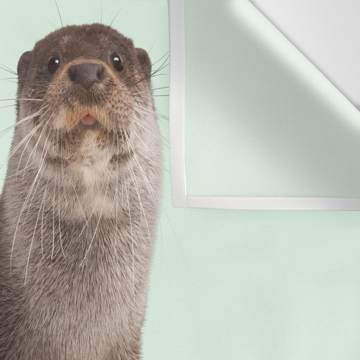 SKATE OTTER Wall Tapestry Gallery Image 3