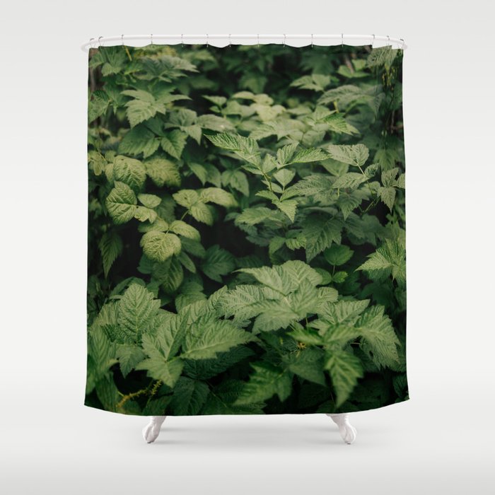 Rubus Shower Curtain Gallery Image 1