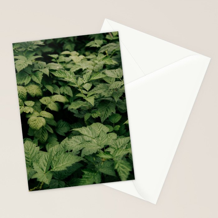 Rubus Stationery Card Gallery Image 2
