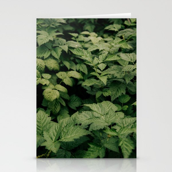 Rubus Stationery Card Gallery Image 2