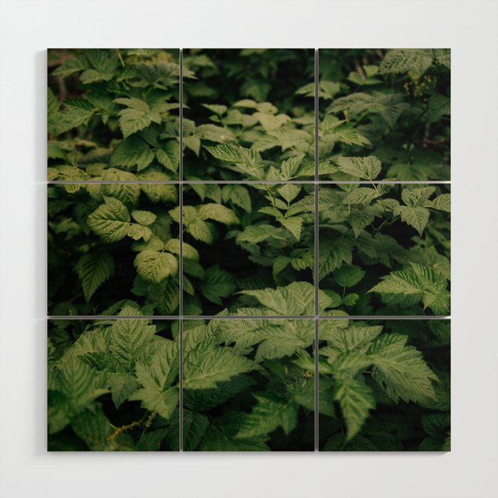 Rubus Wood Wall Art Gallery Image 1