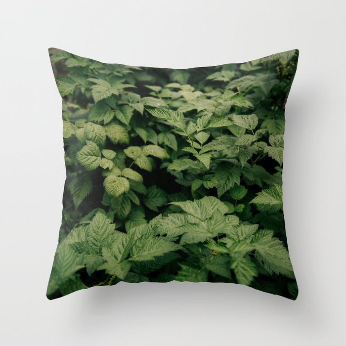 Rubus Throw Pillow Gallery Image 6