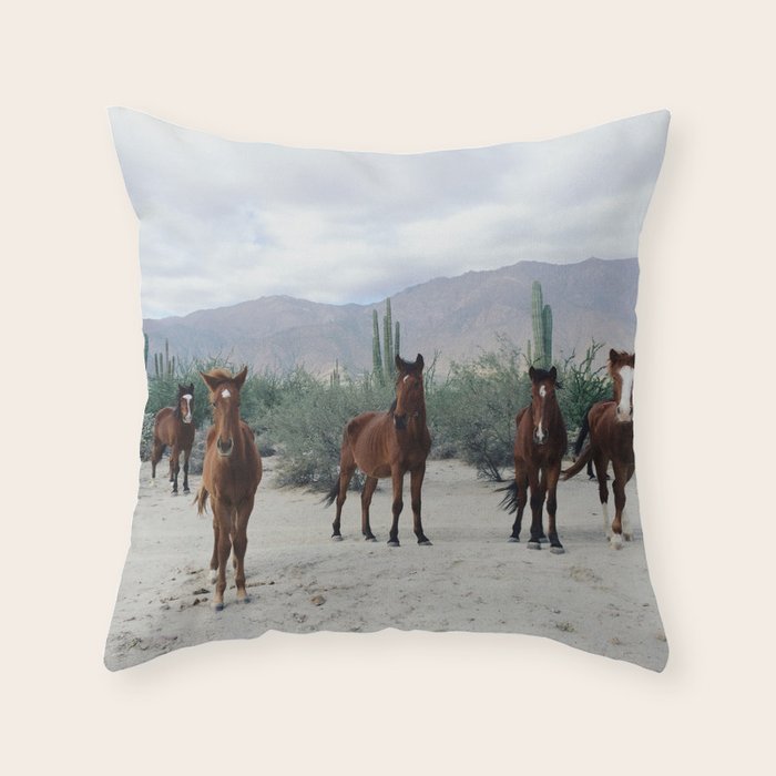 Bahía de los Ángeles Wild Horses Throw Pillow Gallery Image 1