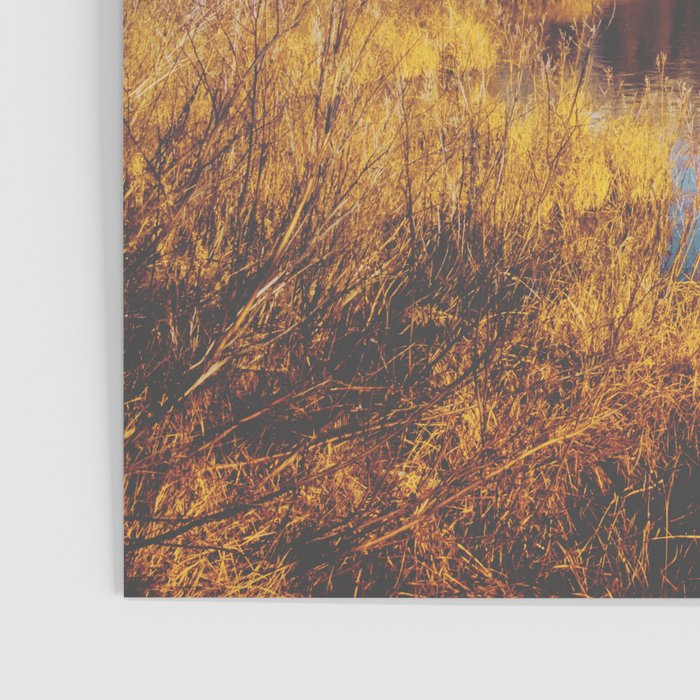 Mountain Creek Poster Gallery Image 3