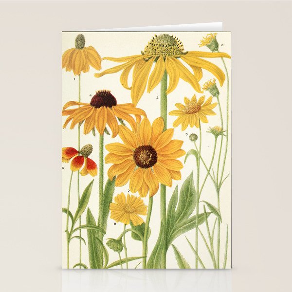 Wildflowers from "Rocky Mountain Flowers" (1914) by Edith Clements (benefitting The Nature Conservancy) Stationery Card Gallery Image 2