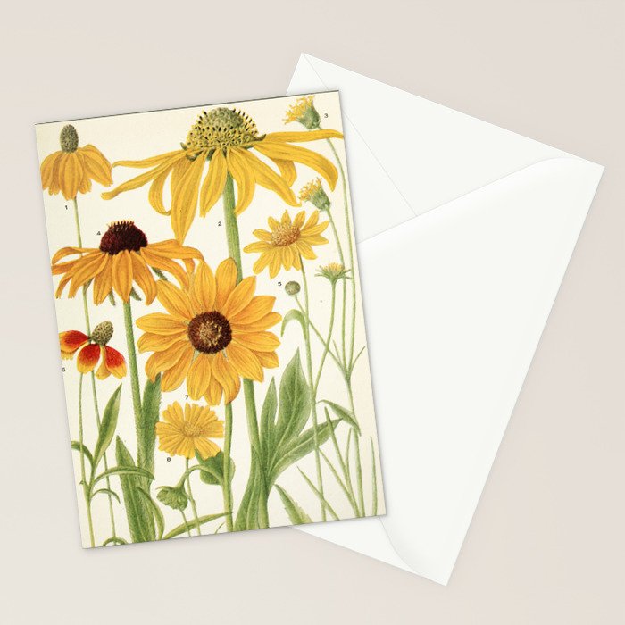 Wildflowers from "Rocky Mountain Flowers" (1914) by Edith Clements (benefitting The Nature Conservancy) Stationery Card Gallery Image 2