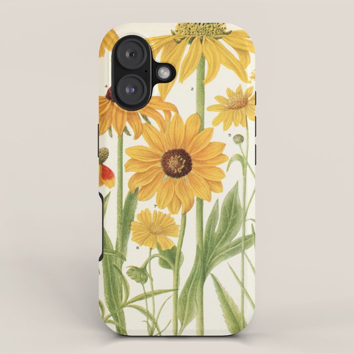 Wildflowers from "Rocky Mountain Flowers" (1914) by Edith Clements (benefitting The Nature Conservancy) iPhone Case Gallery Image 1