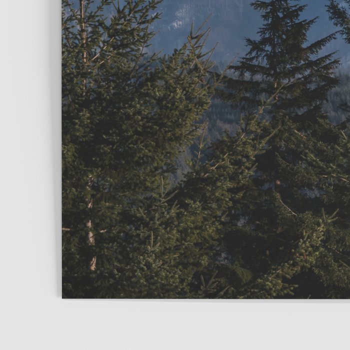 Mt. Hood Memories - 120/365 Nature Photography Poster Gallery Image 3