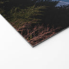 Mt. Hood Memories - 120/365 Nature Photography Welcome Mat Gallery Image 2