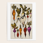 Root vegetables Poster Gallery Image 4