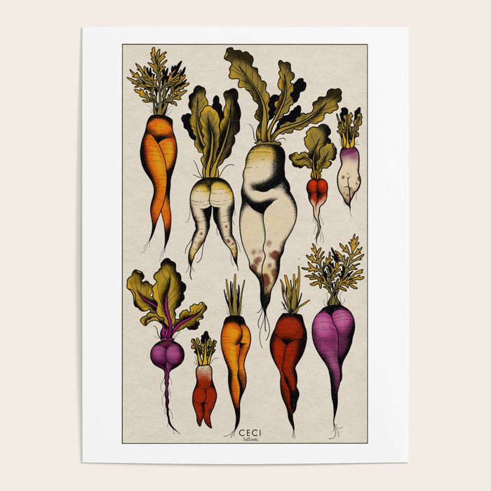Root vegetables Poster Gallery Image 4