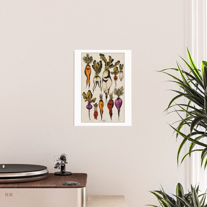 Root vegetables Poster Gallery Image 2