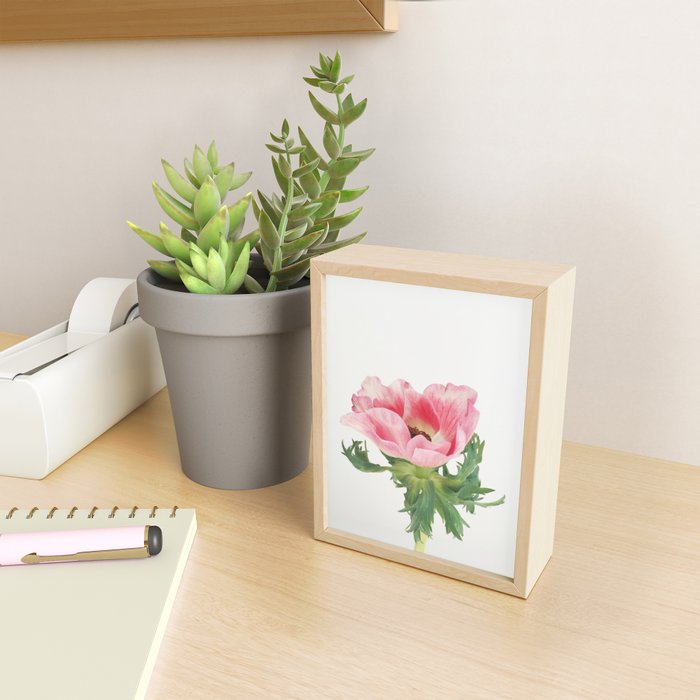 Pink Anemone Mini Art Print Gallery Image 2