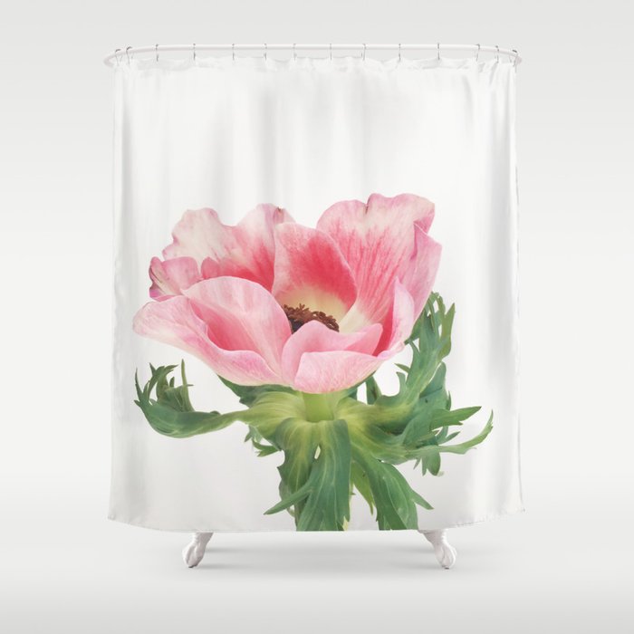 Pink Anemone Shower Curtain Gallery Image 1