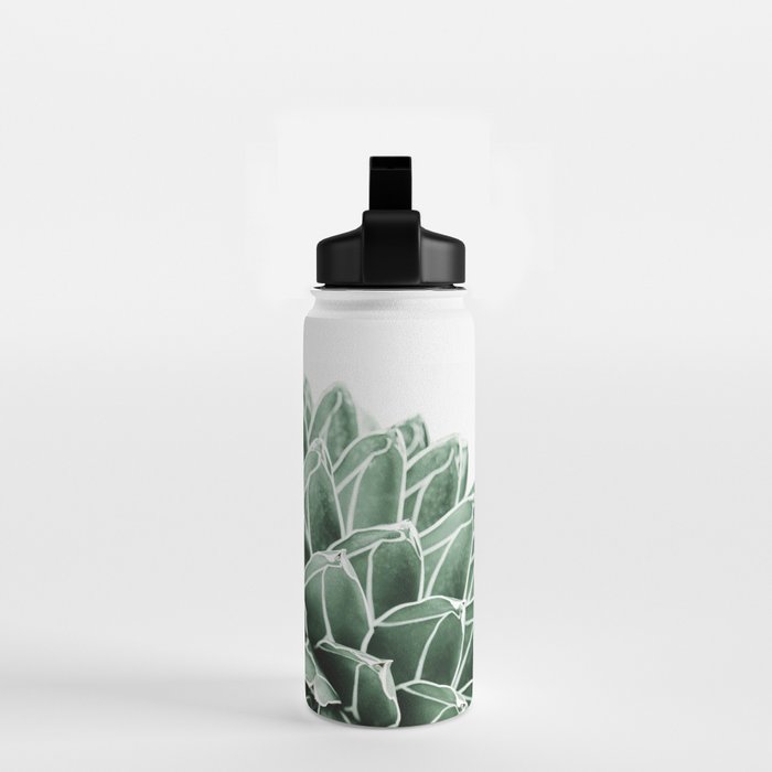 Succulent splendour Water Bottle Gallery Image 2