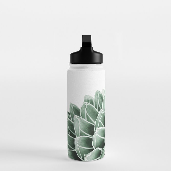 Succulent splendour Water Bottle Gallery Image 3
