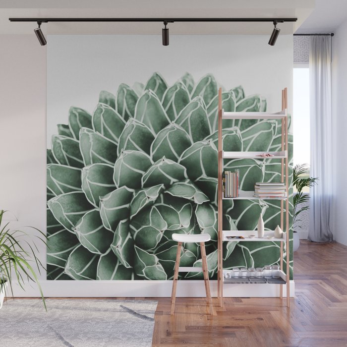 Succulent splendour Wall Mural Gallery Image 1