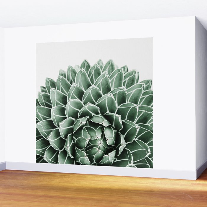 Succulent splendour Wall Mural Gallery Image 2