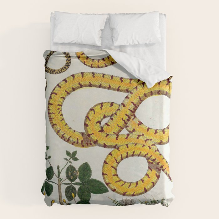 Yellow Snakes Seba Albertus Duvet Cover Gallery Image 6