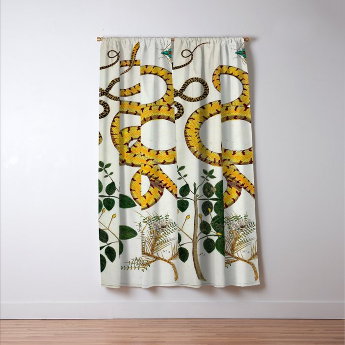 Yellow Snakes Seba Albertus Window Curtain Gallery Image 3