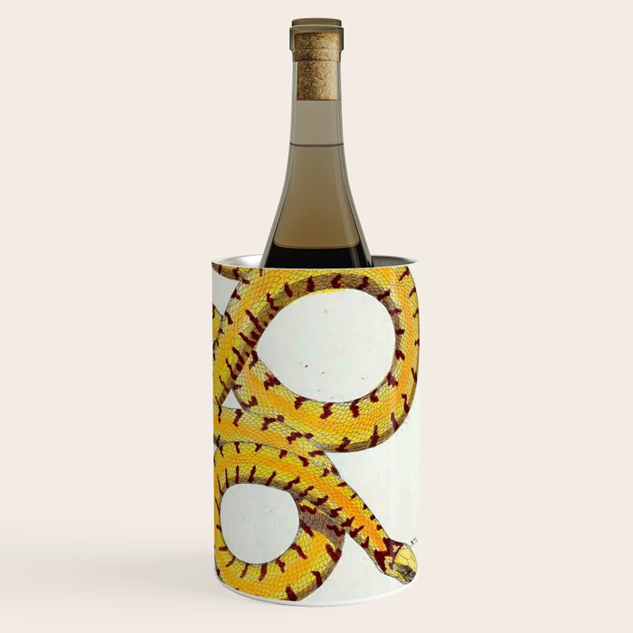 Yellow Snakes Seba Albertus Wine Chiller Gallery Image 3