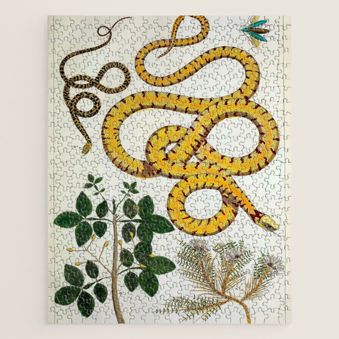 Yellow Snakes Seba Albertus Jigsaw Puzzle Gallery Image 1