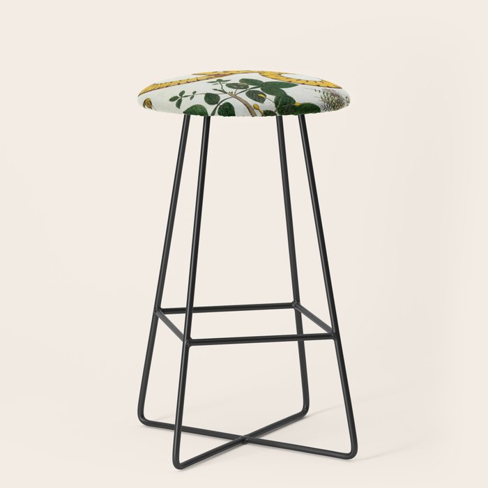 Yellow Snakes Seba Albertus Stool Gallery Image 1