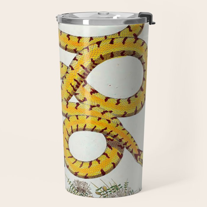 Yellow Snakes Seba Albertus Travel Mug Gallery Image 2