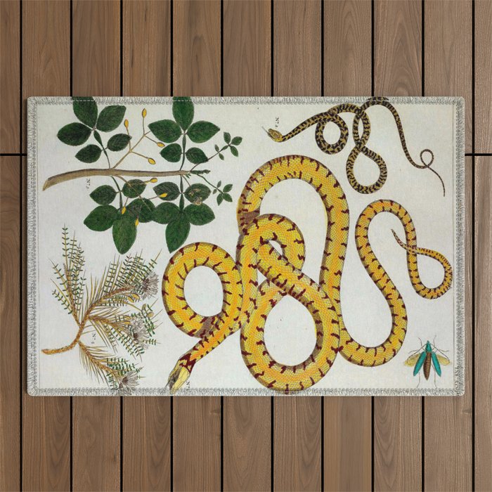 Yellow Snakes Seba Albertus Outdoor Rug Gallery Image 1