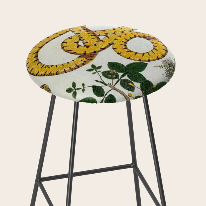 Yellow Snakes Seba Albertus Stool Gallery Image 2