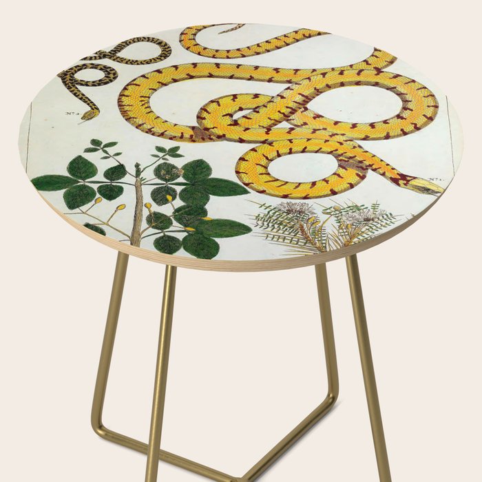 Yellow Snakes Seba Albertus Side Table Gallery Image 2