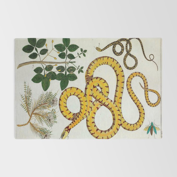 Yellow Snakes Seba Albertus Rug Gallery Image 2
