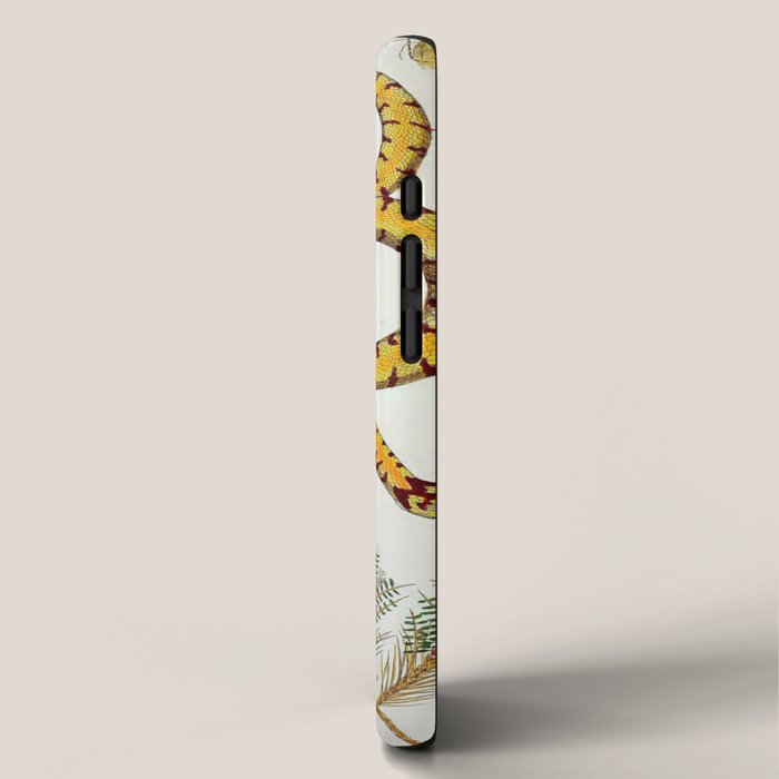 Yellow Snakes Seba Albertus iPhone Case Gallery Image 2