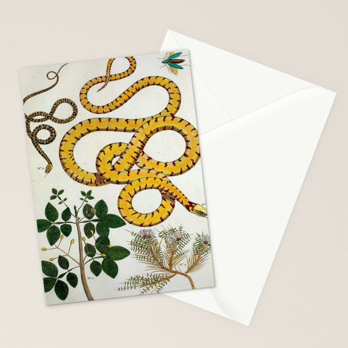 Yellow Snakes Seba Albertus Stationery Card Gallery Image 2