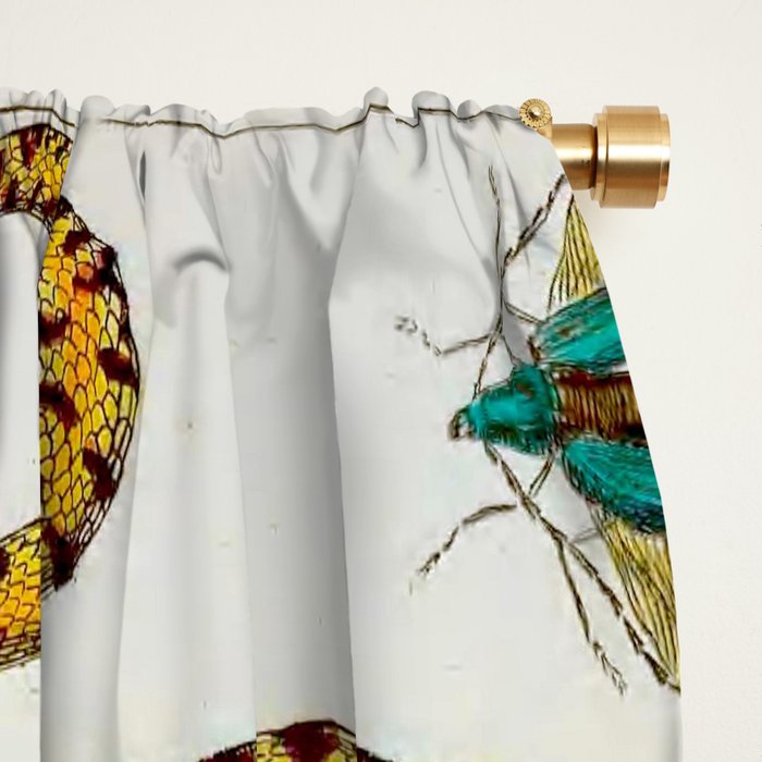 Yellow Snakes Seba Albertus Window Curtain Gallery Image 2