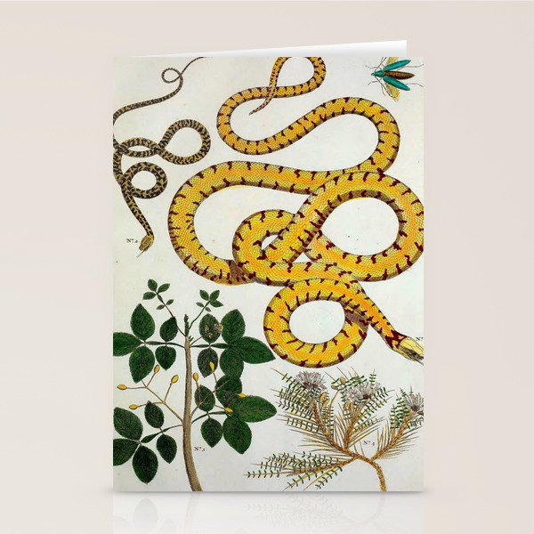 Yellow Snakes Seba Albertus Stationery Card Gallery Image 2