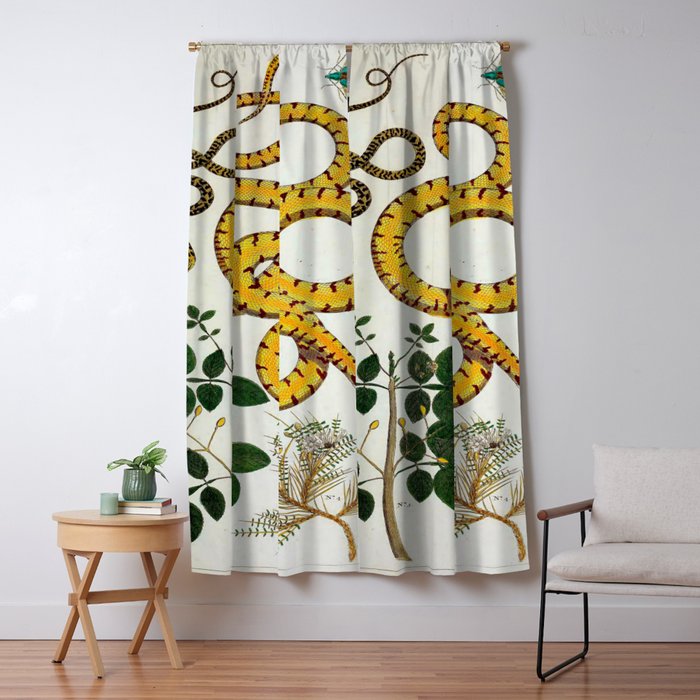 Yellow Snakes Seba Albertus Window Curtain Gallery Image 1