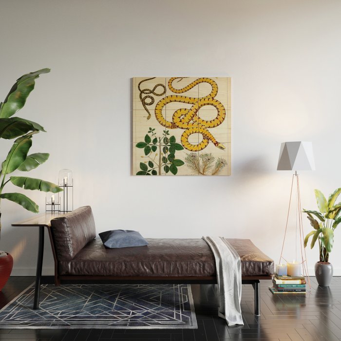 Yellow Snakes Seba Albertus Wood Wall Art Gallery Image 2