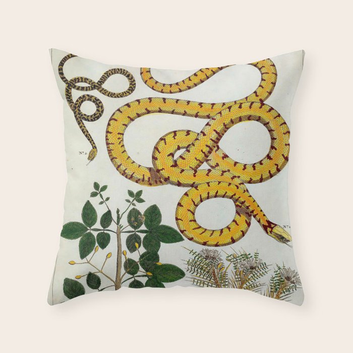 Yellow Snakes Seba Albertus Throw Pillow Gallery Image 1