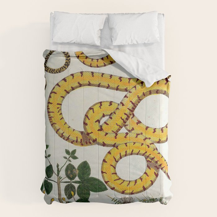 Yellow Snakes Seba Albertus Comforter Gallery Image 1