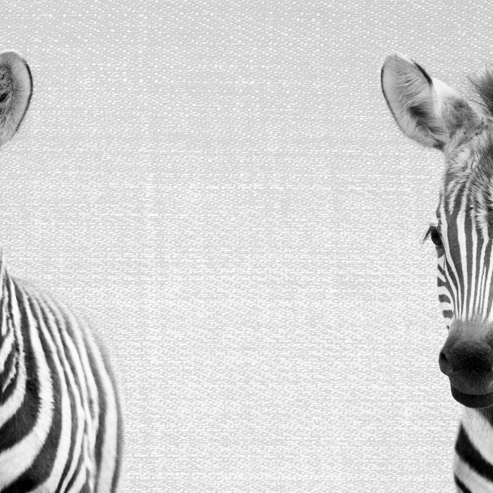 Baby Zebra - Black & White Coffee Mug Gallery Image 2