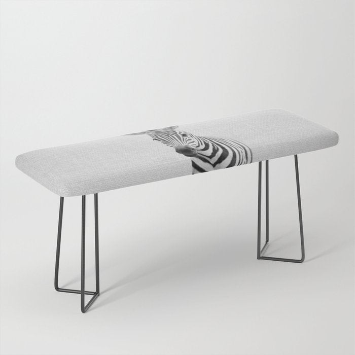 Baby Zebra - Black & White Bench Gallery Image 1