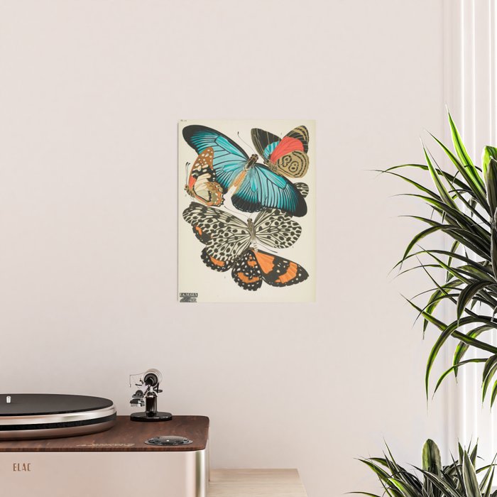 Butterfly Print by E.A. Seguy, 1925 #2 Poster Gallery Image 2