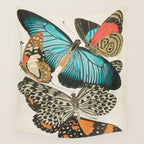 Butterfly Print by E.A. Seguy, 1925 #2 Wall Tapestry Gallery Image 4