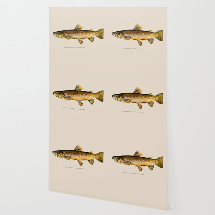 The Brown Trout Wallpaper Gallery Image 2