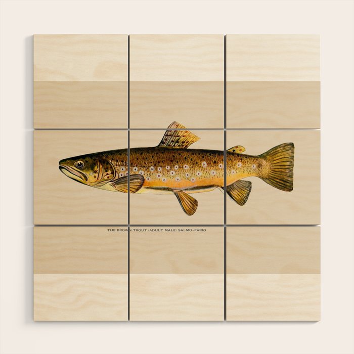 The Brown Trout Wood Wall Art Gallery Image 1