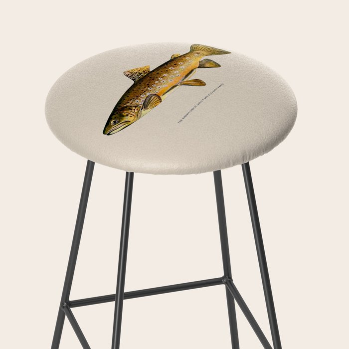 The Brown Trout Stool Gallery Image 2