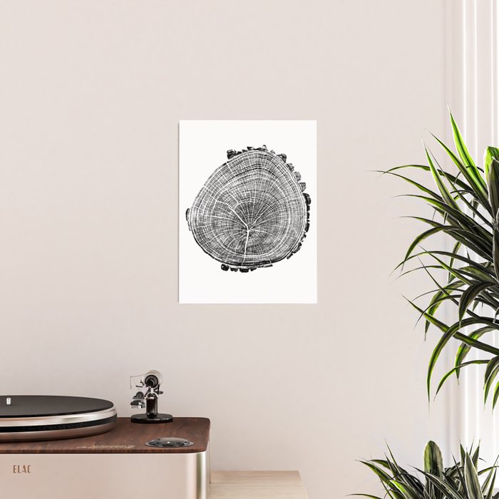 Eastern Ash - Tree ring ink woodblock print Poster Gallery Image 2