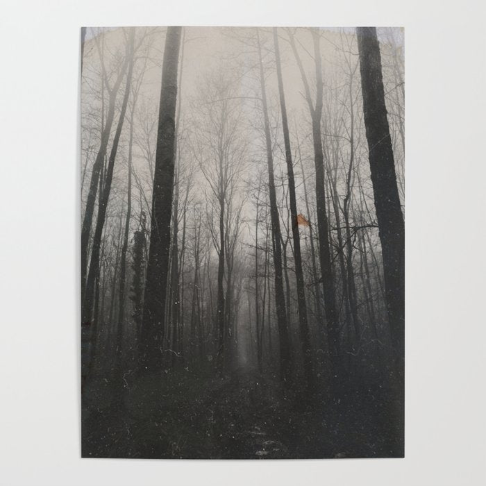 INTO THE WILD XIV Poster Gallery Image 1